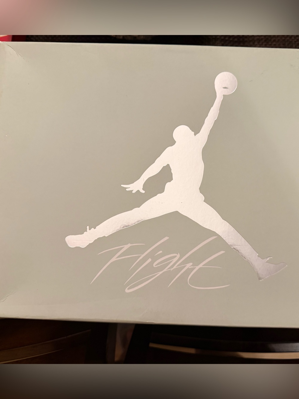 Jordan Silver Jumpman Wall Decal